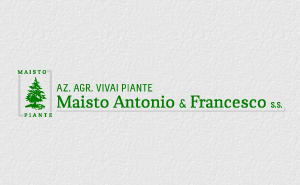 Maisto Piante